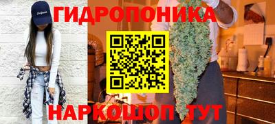 твердый Кандалакша